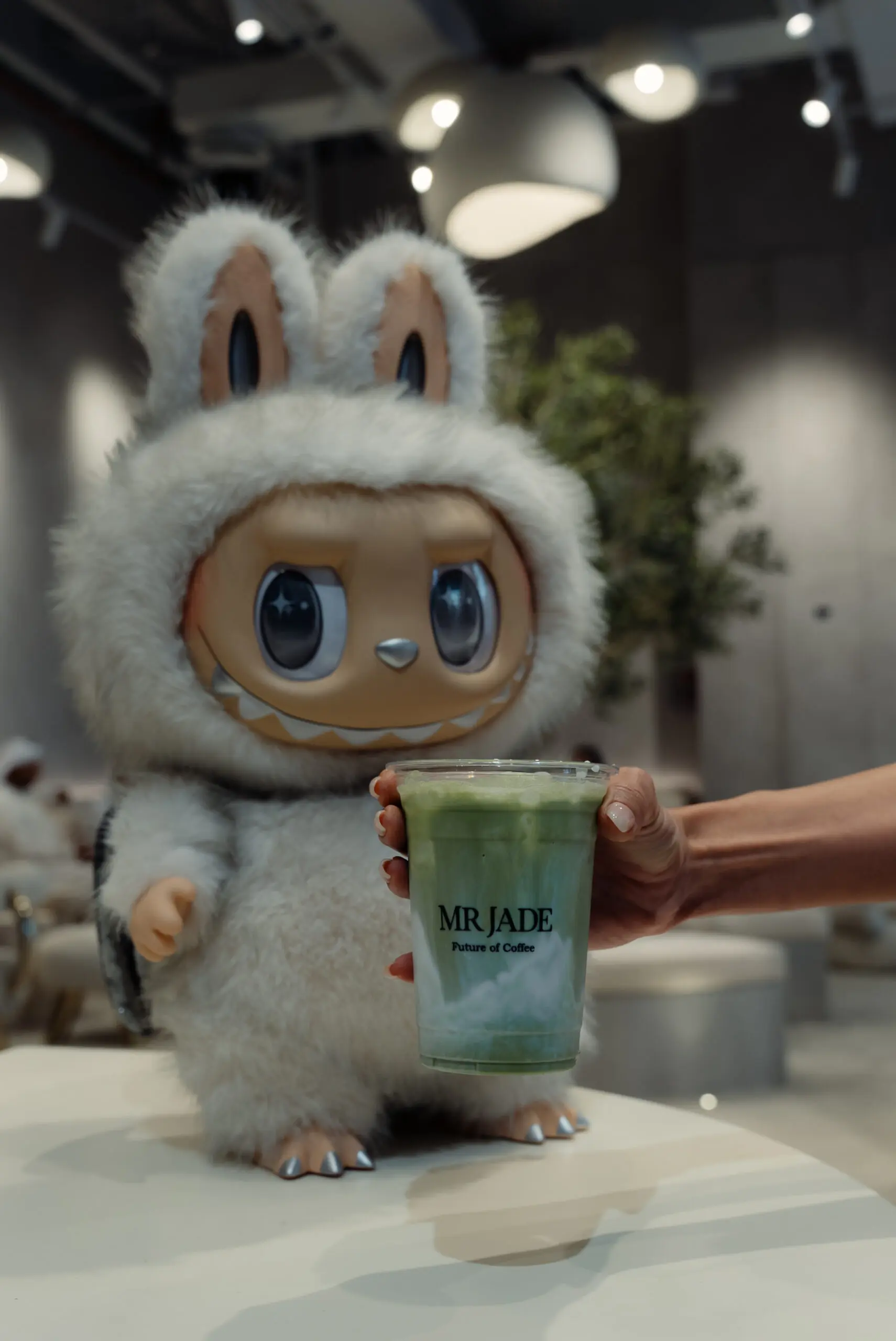 Matcha